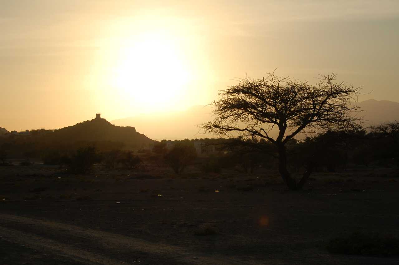 2007-01-13-15-22.jpg