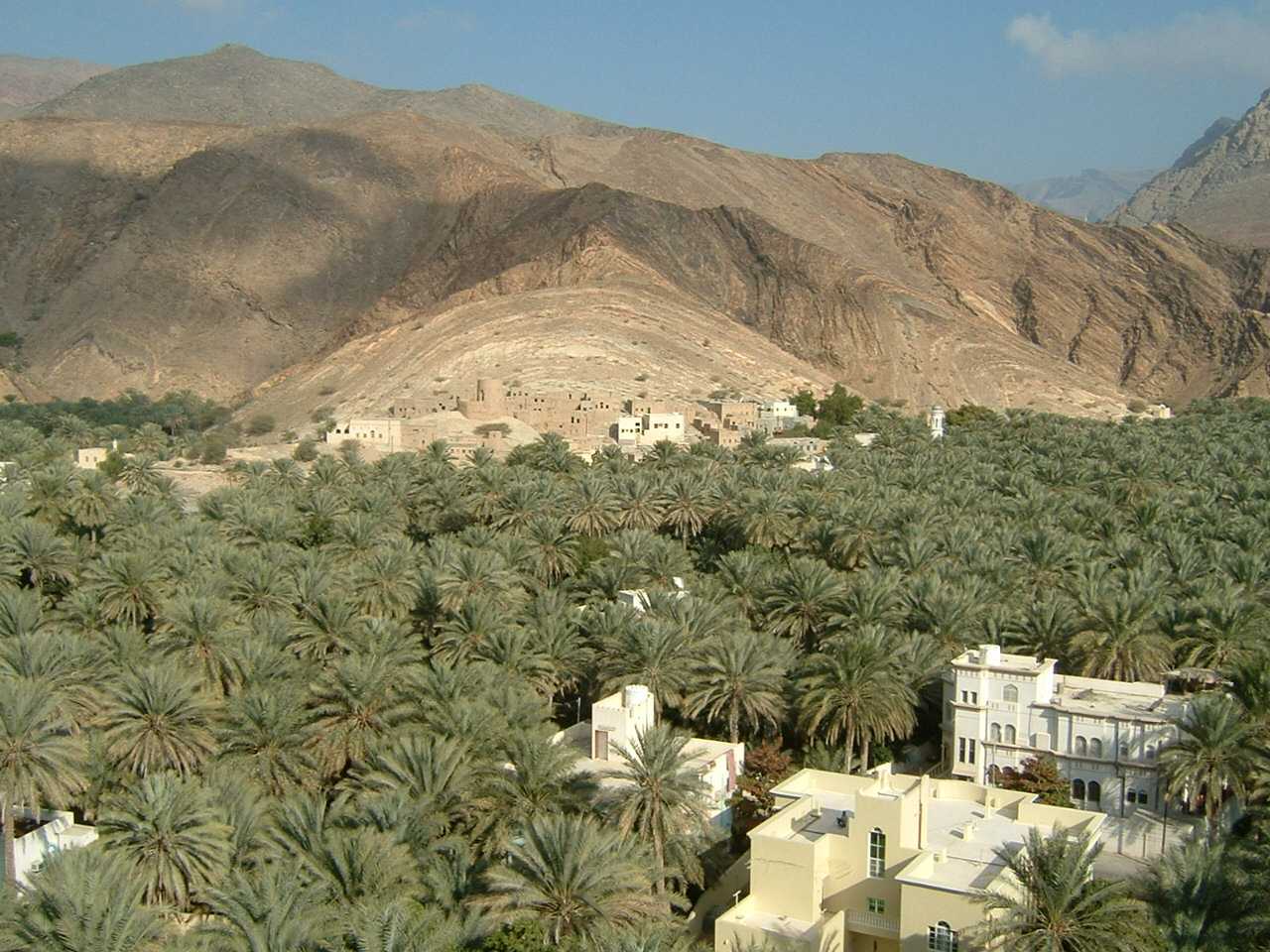 2007-01-13-21-08.jpg