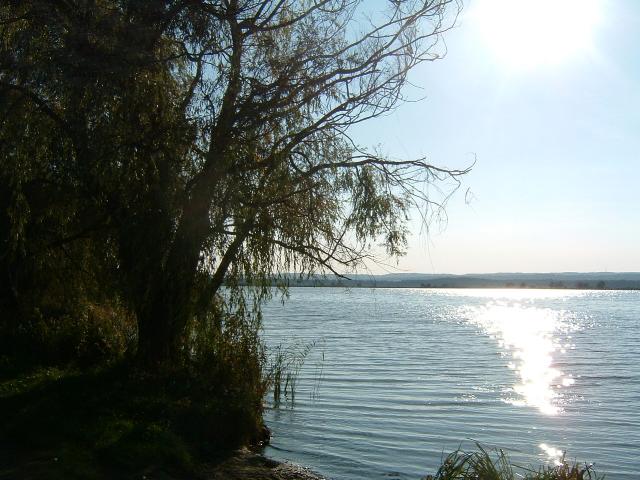 kisbalaton2.jpg
