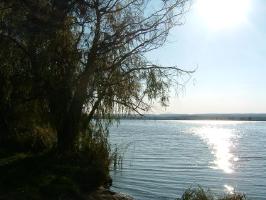 kisbalaton2.jpg
