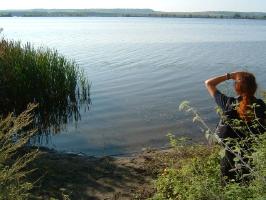 kisbalaton4.jpg