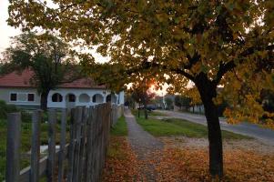 2005-10-13-17.39.jpg