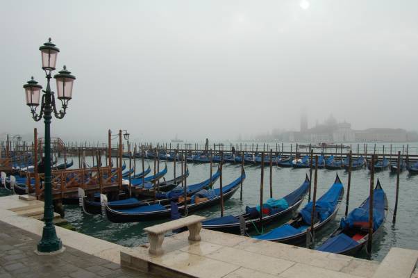 DSC_0095.jpg
