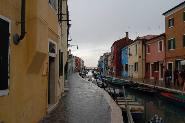 DSC_0127.jpg